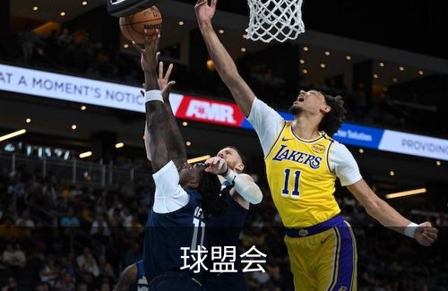 球盟会概况